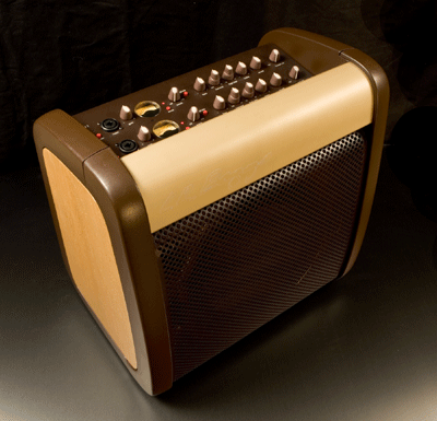 LR Baggs Core 1 Acoustic Amplifier