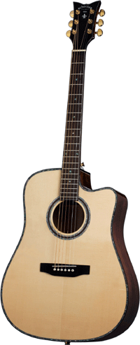 Schecter Solid Wood Acoustic Guitars