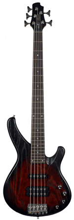 Cort Arona Bass Guitar 