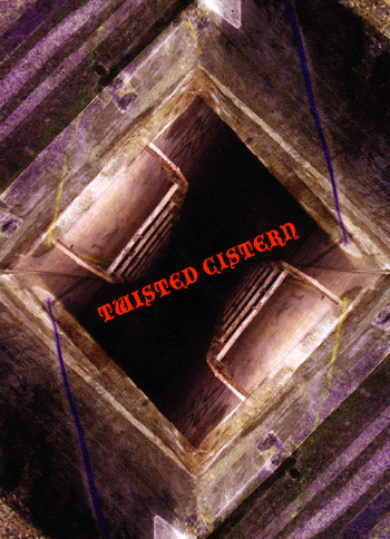 Dark Side Of The Tune's Twisted Cistern